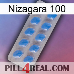 Nizagara 100 22